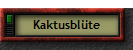 Kaktusblte