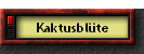 Kaktusblte