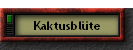 Kaktusblte