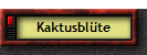 Kaktusblte